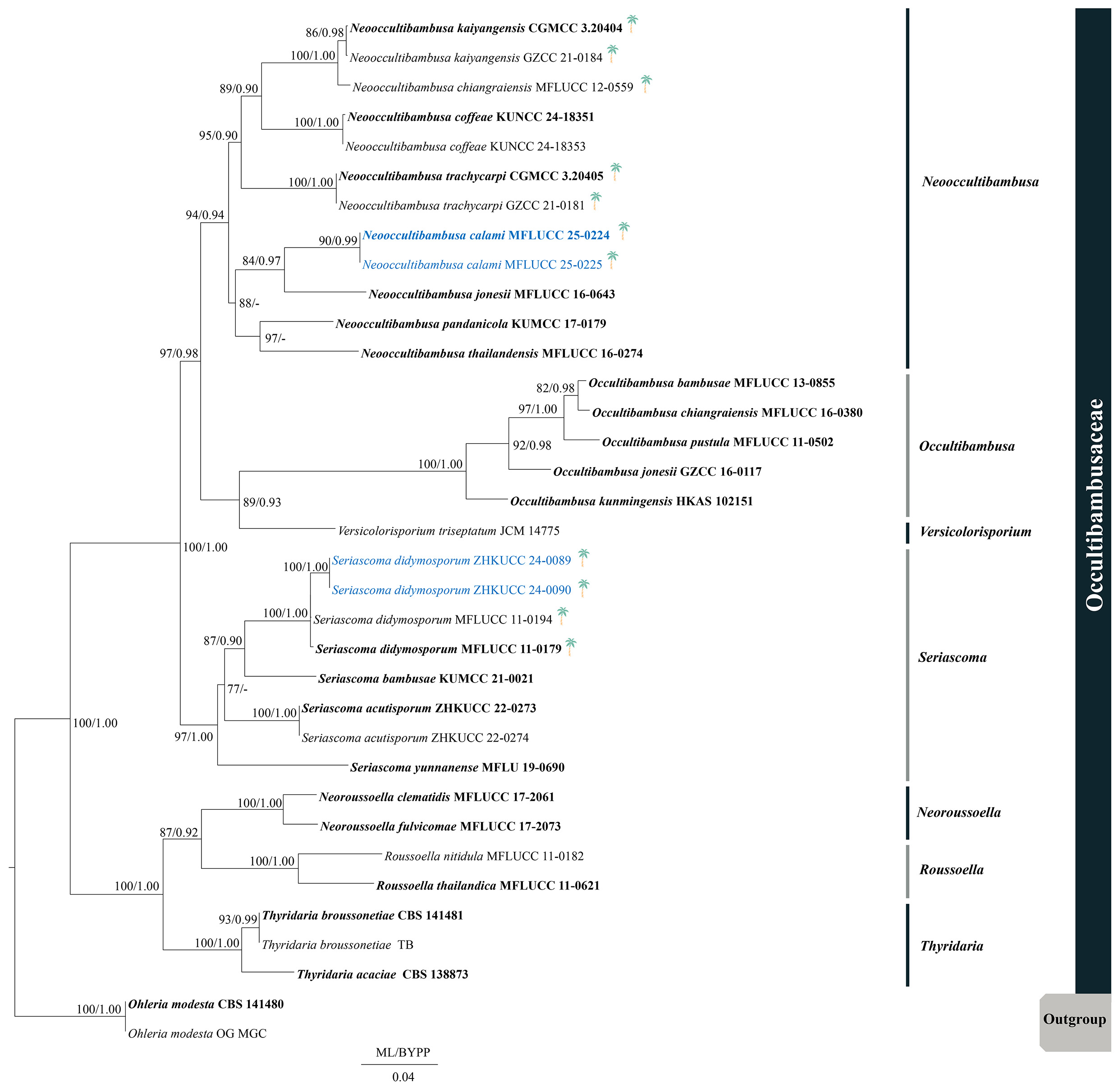 Figure 41